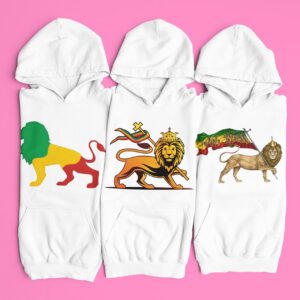 jbl hoodie trio pink
